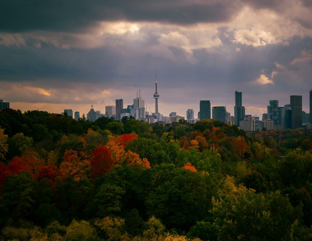Toronto skyline above fall trees